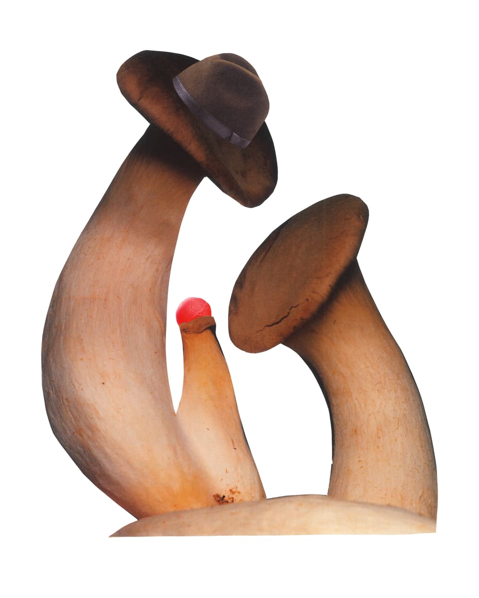 3 Pilze auf weissem Grund. Der Hut des einen Pilzes ist durch einen Männerhut ersetzt, der Hut eines anderen durch einen roten Ball, der an eine Clownnase erinnert.