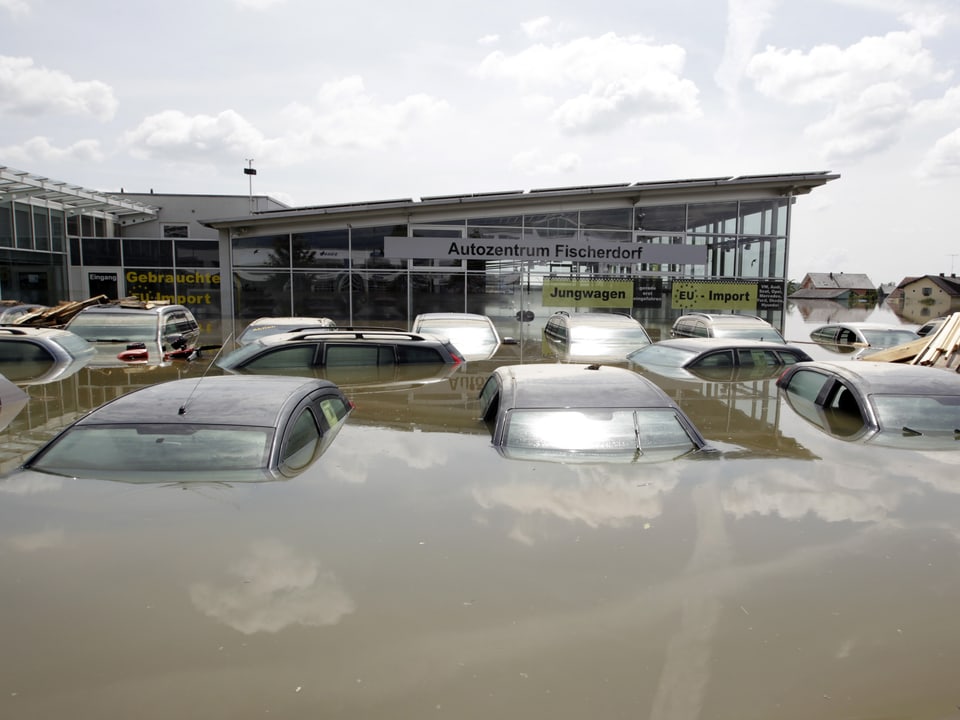 Mehrere Autos eines Autohauses stehen bis zum Dach im Wasser.