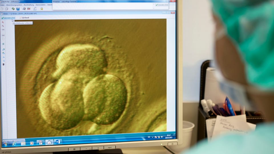 Ein menschlicher Embryo auf einem Computerbildschirm.