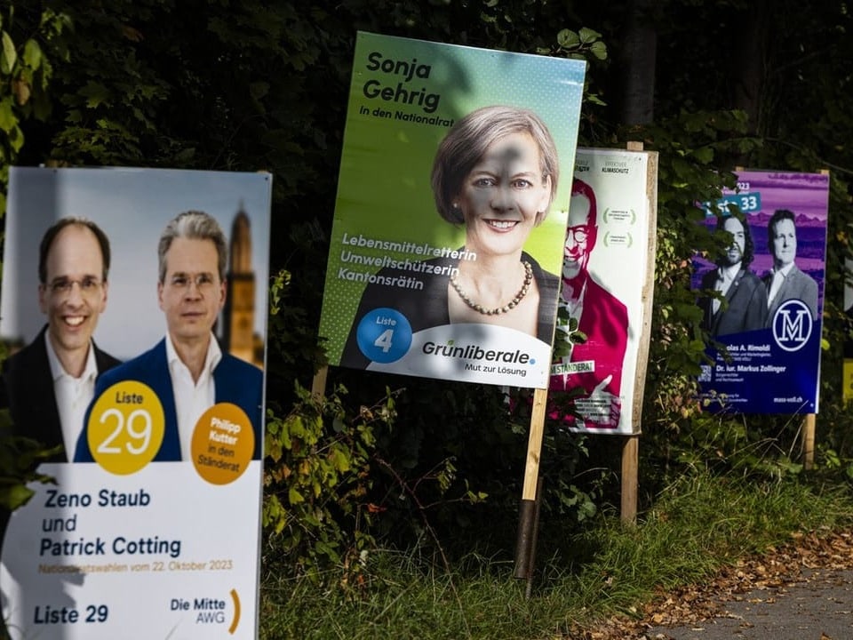 Mehrere Wahlplakate am Wegrand