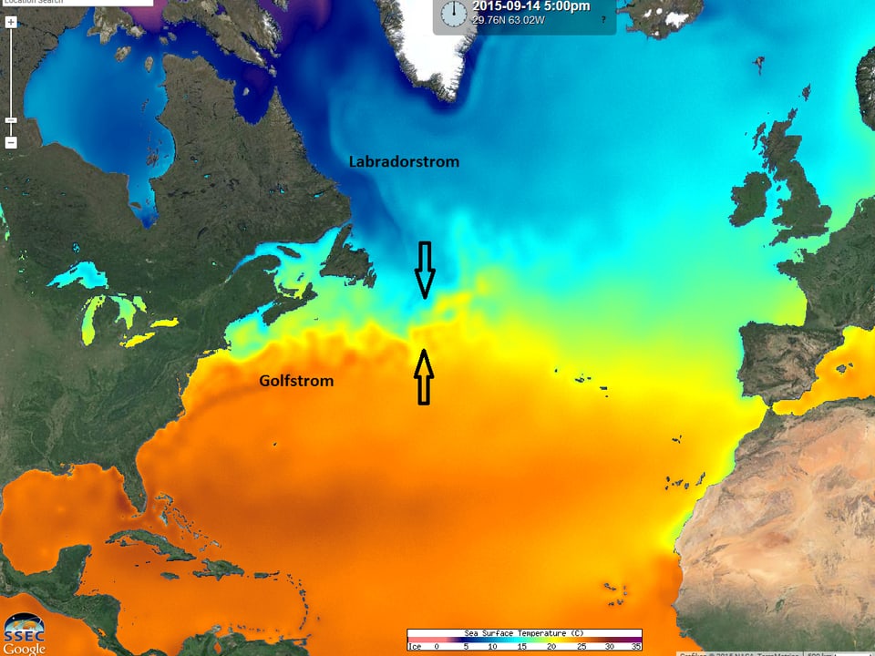 Eine Karte des Nordatlantiks mit unterschiedlich eingefärbter Temperatur des Wasser. Deutlich erkennbar der Golfstrom entlang der Ostküste der USA sowie der Labradorstrom südlich von Grönland.