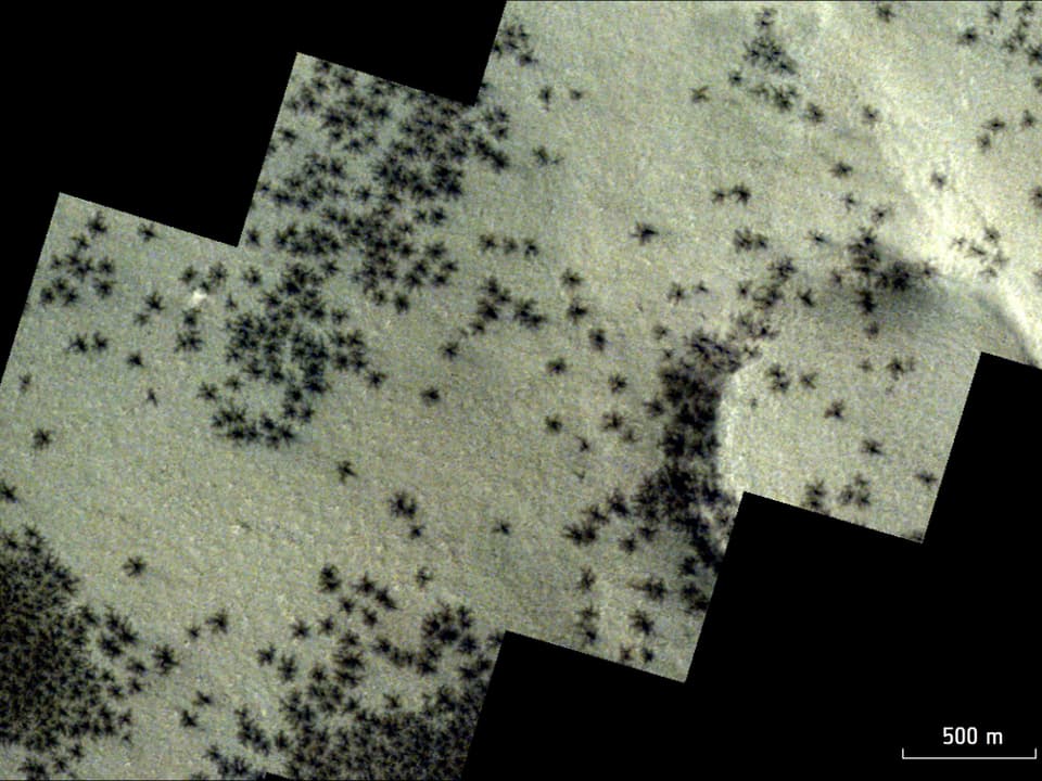 Ein Bild des Naturphänomens. Spinnenförmige dunkle Formen sind auf er Oberfläche des Mars erkennbar.