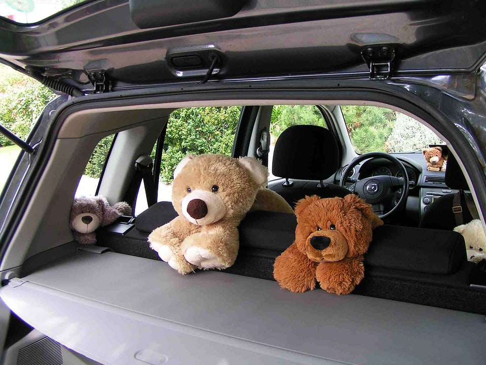 Radio SRF 1 Maskottchen im Auto Die besten Bilder aus