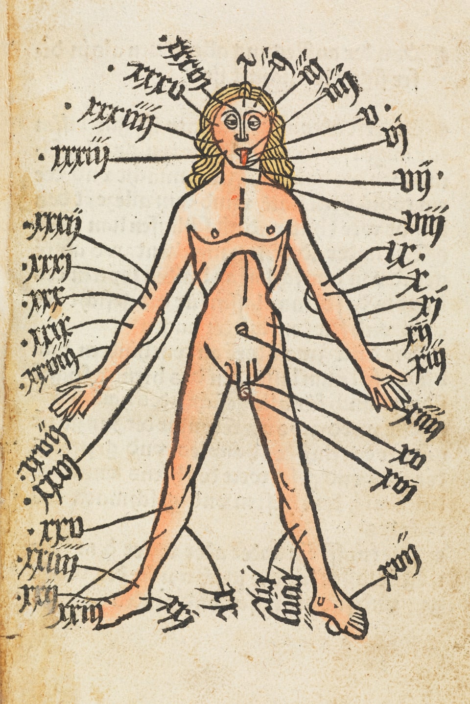 Aderlass- oder Venenmännchen mit Anweisungen, welches Blutgefäss bei welchen Beschwerden zu öffnen ist. Deutscher Kalender. Gedruckt in Augsburg von Hans Schobser, 1488.
