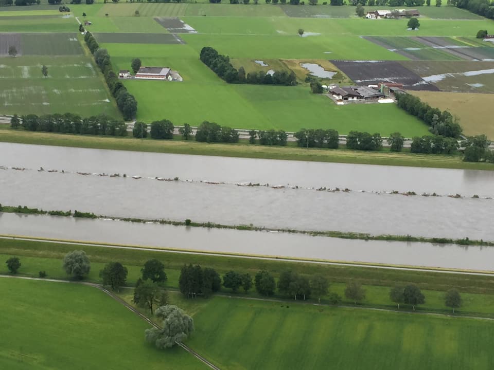 Felder, Bäume und brauner Rhein, welcher das Vorland überflutet hat