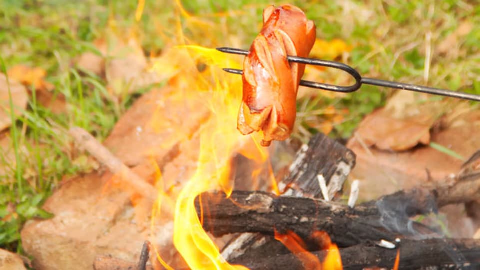 «Espresso Aha!» - Wo ist Feuer machen im Wald überall erlaubt