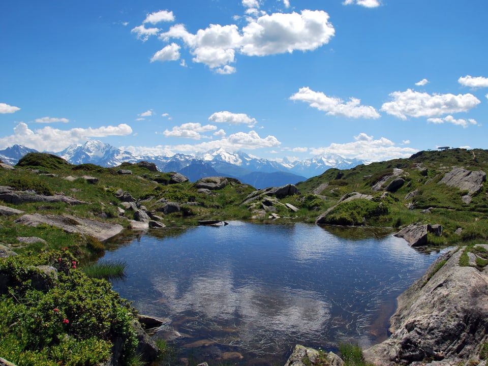 Blauer, klarer Bergsee mit Wiesen und Felsen drum herum. Der Himmel ist blau, die Sonne scheint, es hat nur wenige Wolken. 