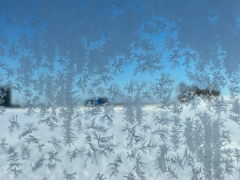 Kleine Eisblumen an einem Fenster.