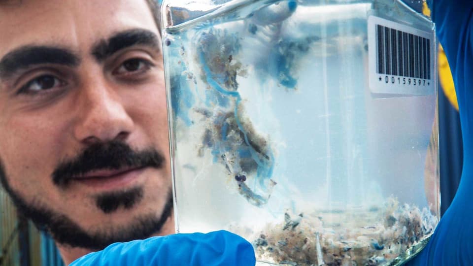Mann betrachtet ein Glas, in dem eine Portugiesische Galeere schwimmt.