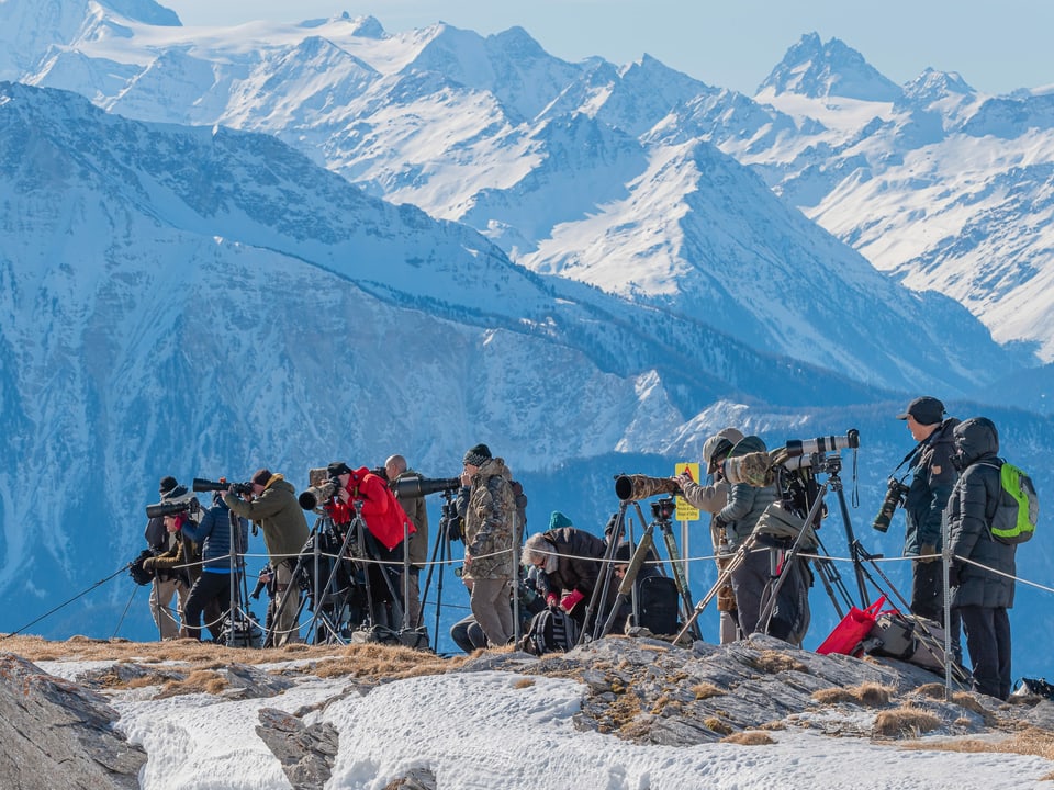 Viele Fotografen auf einer Krete, im Hintergrund die Walliser Alpen.