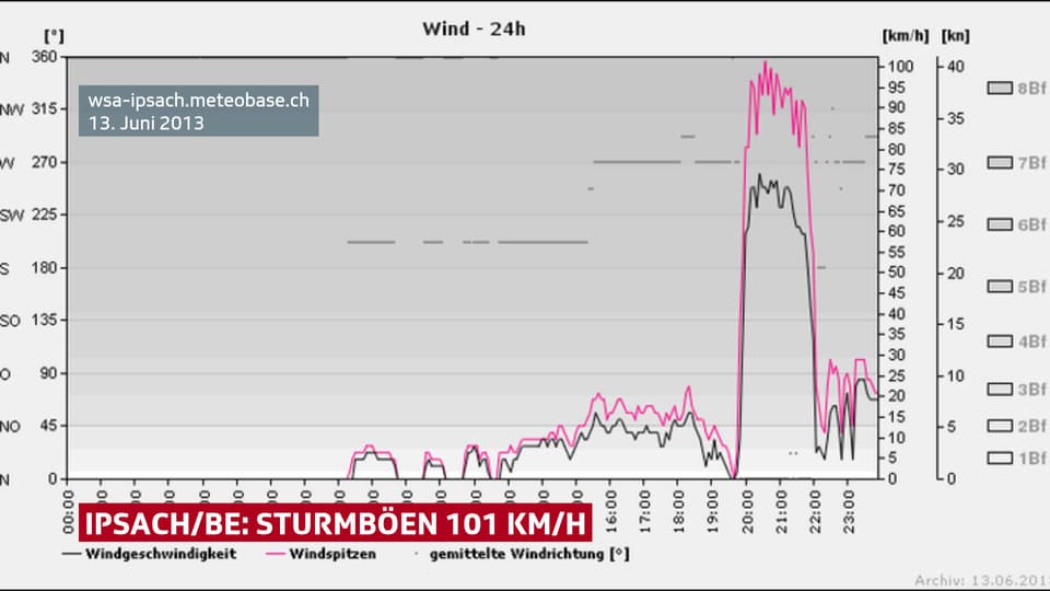 Auf einer Grafik ist der Verlauf von Windrichtung, Mittelwind und Windspitzen dargestellt vom 13. Juni 2013. Tagsüber war der Wind schwach. Gegen Abend plötzlich stürmisch.