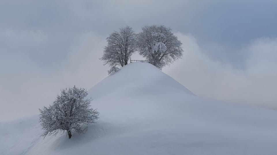 Verschneiter Hügel mit kahlen Bäumen.