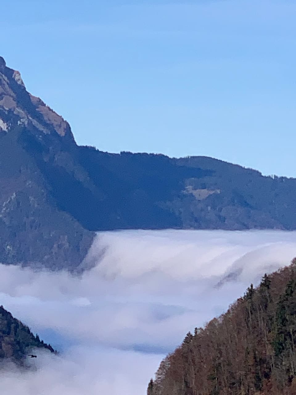 Nebel fliesst wie ein Wasserfall in eine Tal herunter. 