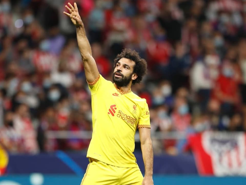 Holen der Stürmer von Liverpool und Rekord-Meister Ägypten in diesem Jahr den 8. Kontinental-Titel?