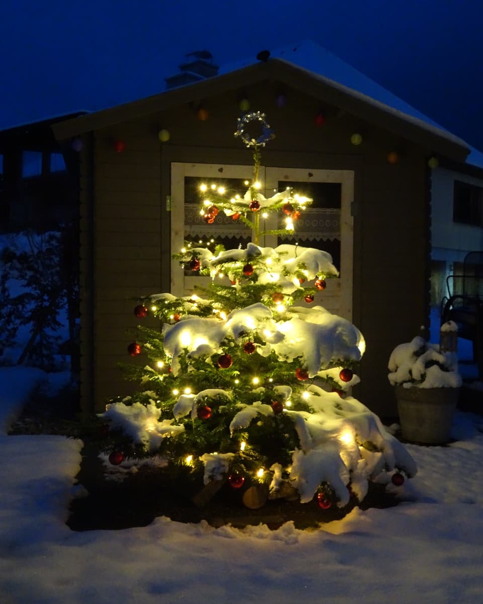 Das Bild zeigt einen Tannenbaum mit Lampen im Schnee.