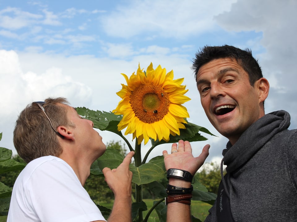 Reto Scherrer und Roman Kilchsperger bei einer Sonnenblume.