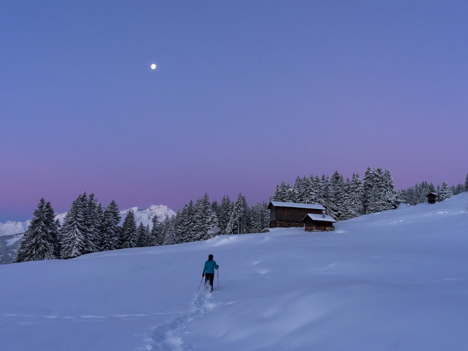 Ein Schneeschuhwanderer ist bei Morgenrot unterwegs. Der Mond steht noch am klaren Himmel, im Hintergrund verschneit Tannen.