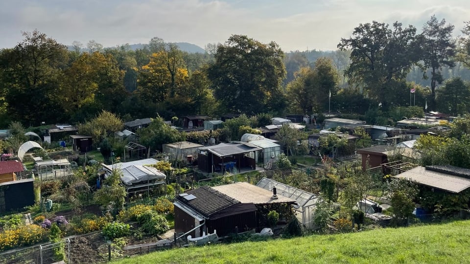 Schrebergarten