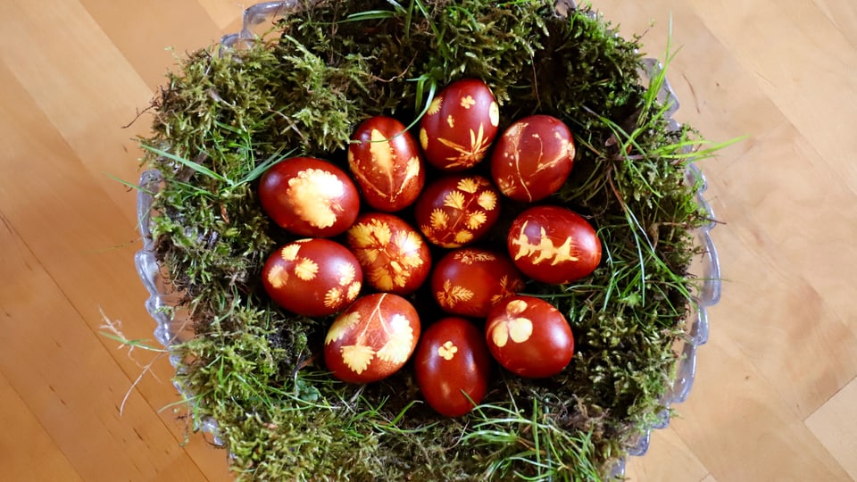 Kinder in der Natur - Ostern mit Kindern in der Natur erleben - Mission B -  SRF