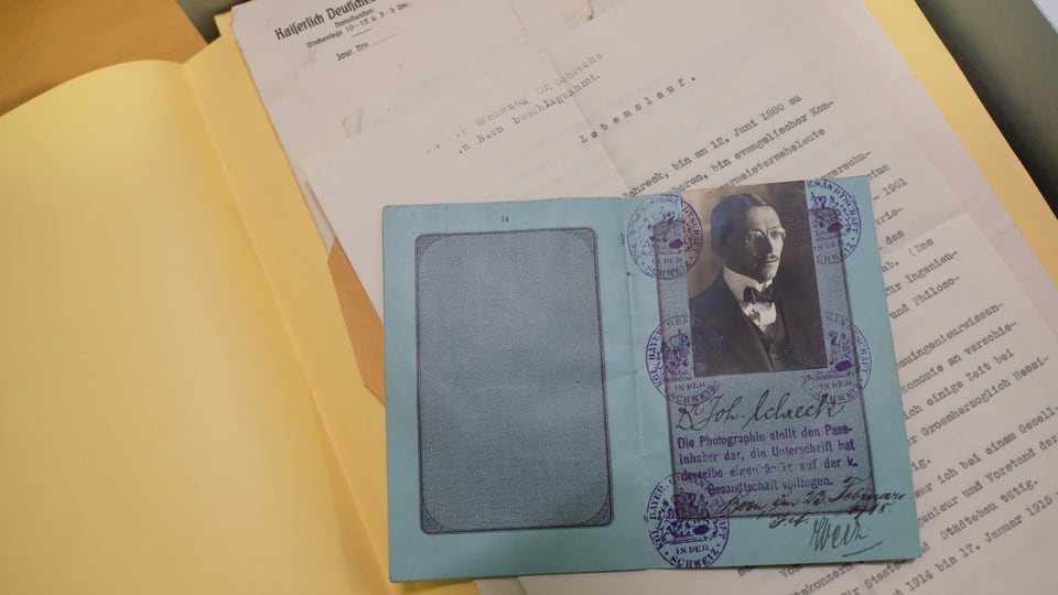 Polizeiakte von 1918, die einen Pass mit Passfoto eines Herrn zeigt. Der Pass ist gestempelt und liegt in einer Mappe.