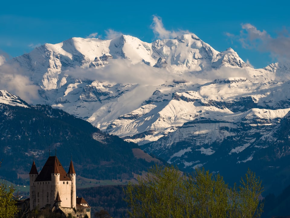 Im linken unteren Bereich ist das Schloss von Thun sichtbar. Am Horizont steht ein frisch verschneiter Berg mit Wolkenresten. Der Himmel darüber ist blau.