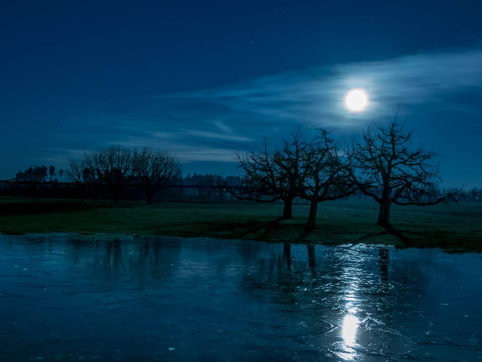 Das Mondlicht spiegelt sich in einem gefrorenen Teich.