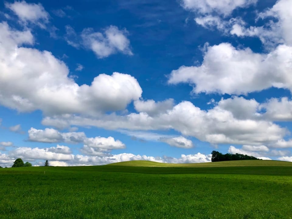 Grüne Wiese unter blauem Himmel mit Wolken.