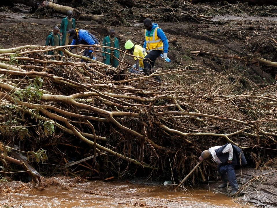 Menschen in Schutzanzügen untersuchen Schäden an einer überfluteten Stelle mit umgestürzten Bäumen.
