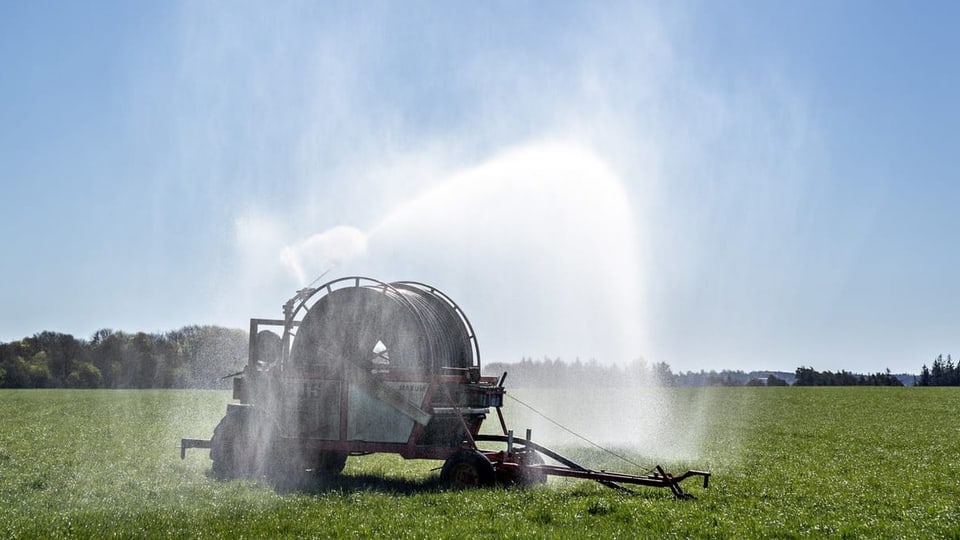 Weniger CO₂ auf dem Bauernhof - Klimaneutrale Landwirtschaft: Dänemark