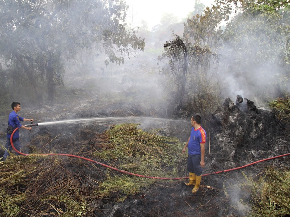 Feuerwehrmänner auf Sumatra versuchen einen Brand zu löschen.