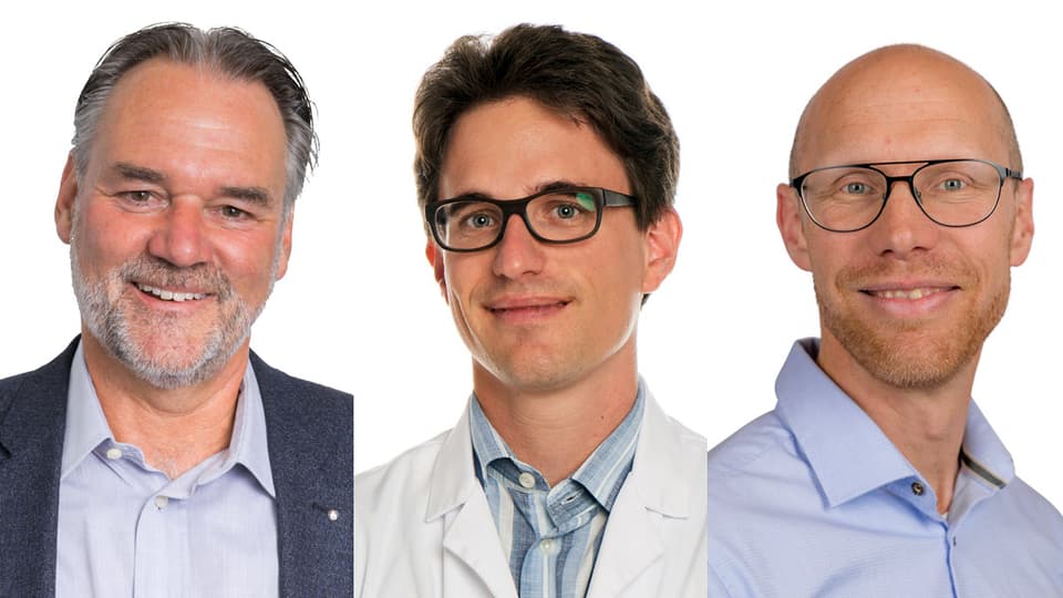 Porträtaufnahmen der Experten