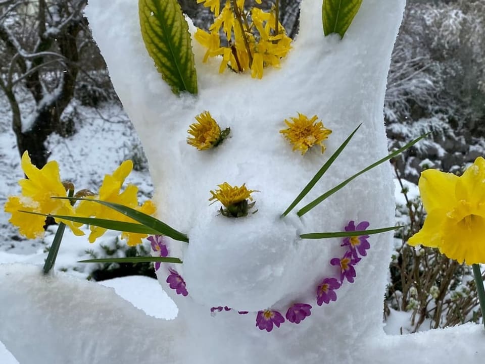 Schneehase mit Blumen.