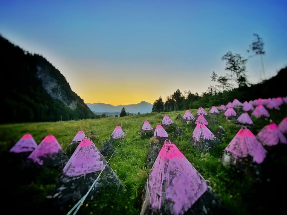 Rosa Kunstobjekte in einer Naturlandschaft