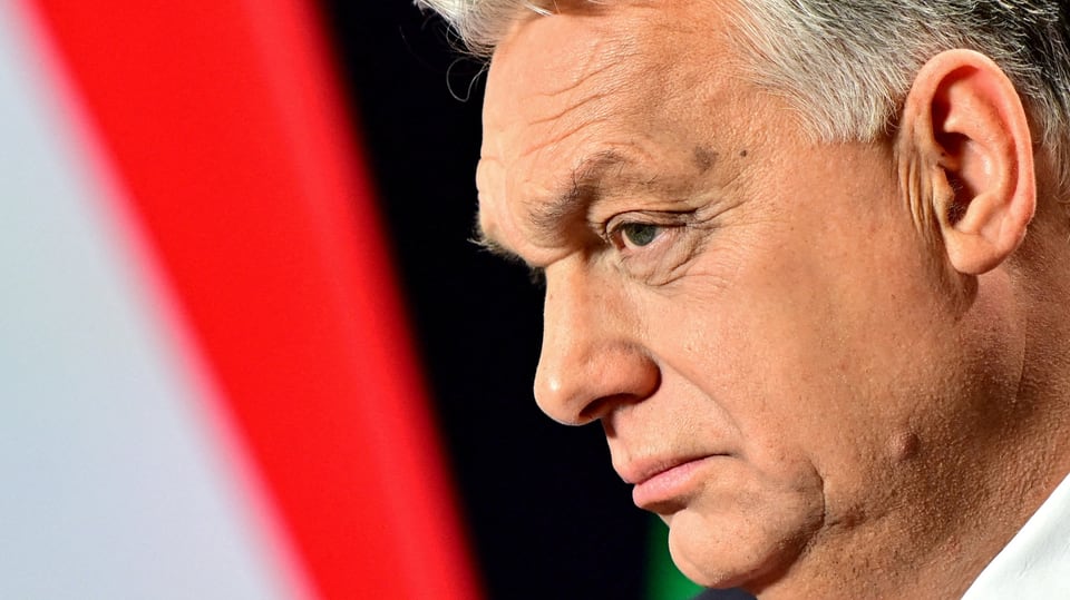 Close-up, profile of Viktor Orban