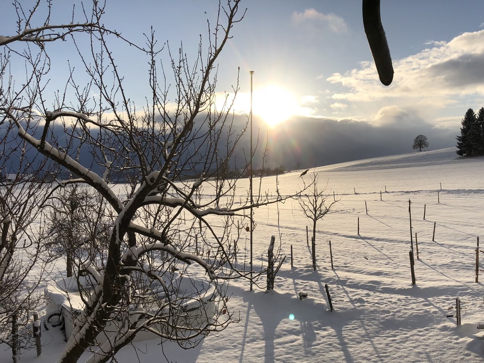 Schneelandschaft mit Sonnenschein.