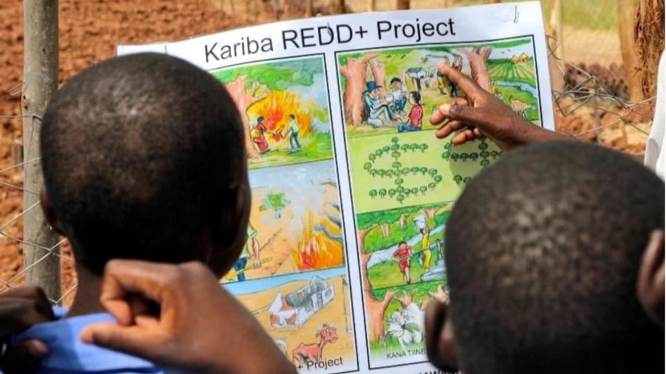 zwei Kinder schauen auf Lehrmittel mit Kariba-Projekt