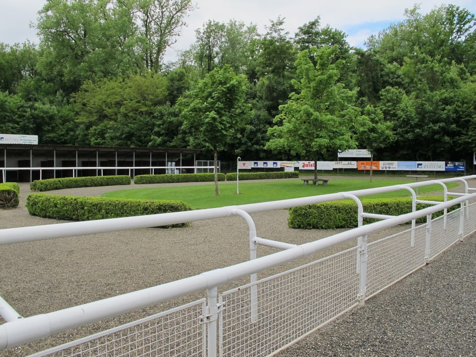 Blick afu die Aarauer Pferderennbahn im Schachen, mit der metallenen Absperrung und den schön gepflegten Rasen.