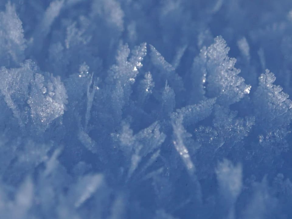 Schönheit des Winter.