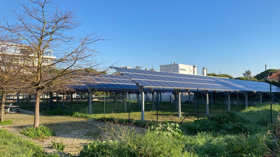Mehrere Solaranlagen auf einem Campus