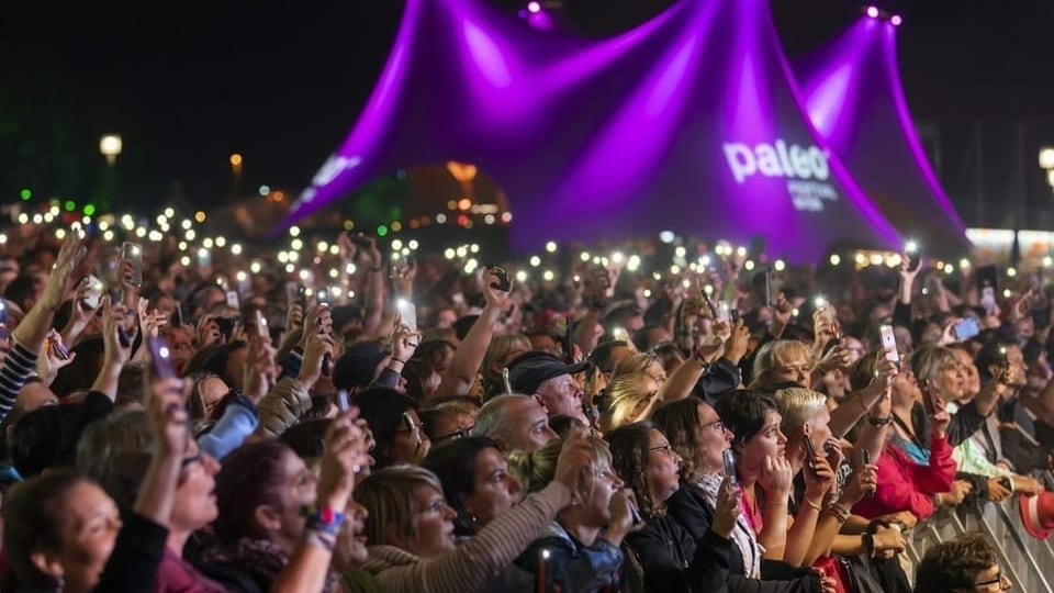 Menschen an einem Konzert