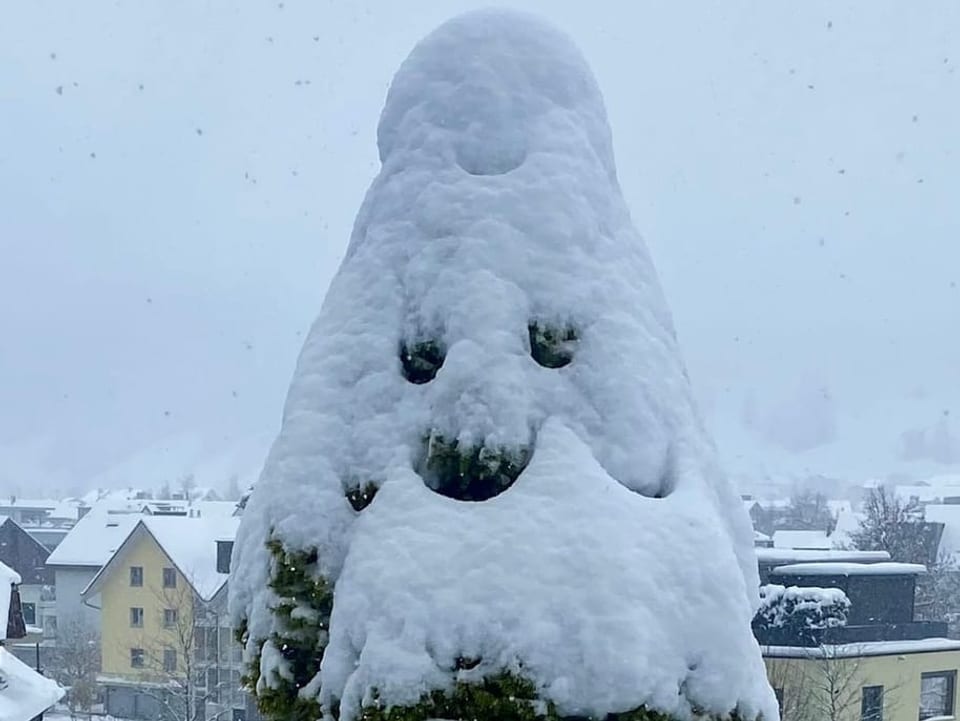 Verschneiter Tannenbaum.