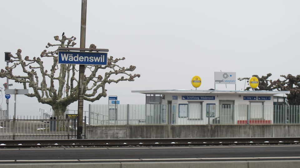 Das Bahnhofsschild Wädenswil, der Schiffssteg und ein paar müde Möwen.