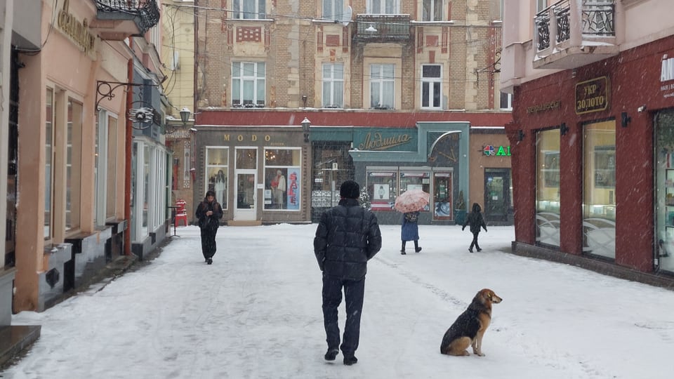 Menschen und ein Hund auf einer verschneiten Einkaufsstrasse mit historischen Gebäuden.