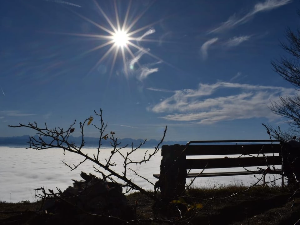 Cirrus uncinus ist eine Unterart der Cirrus-Wolke.