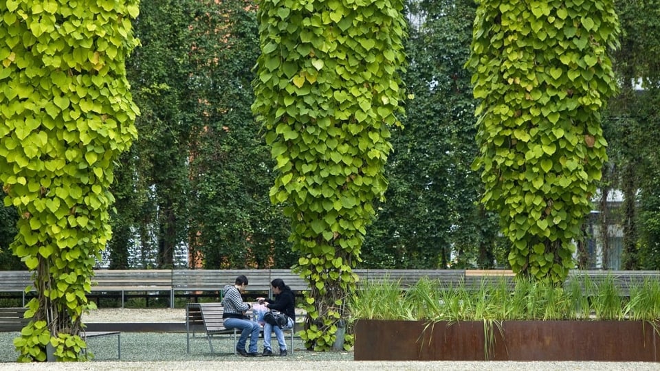 Park mit Pflanzen und Bänken