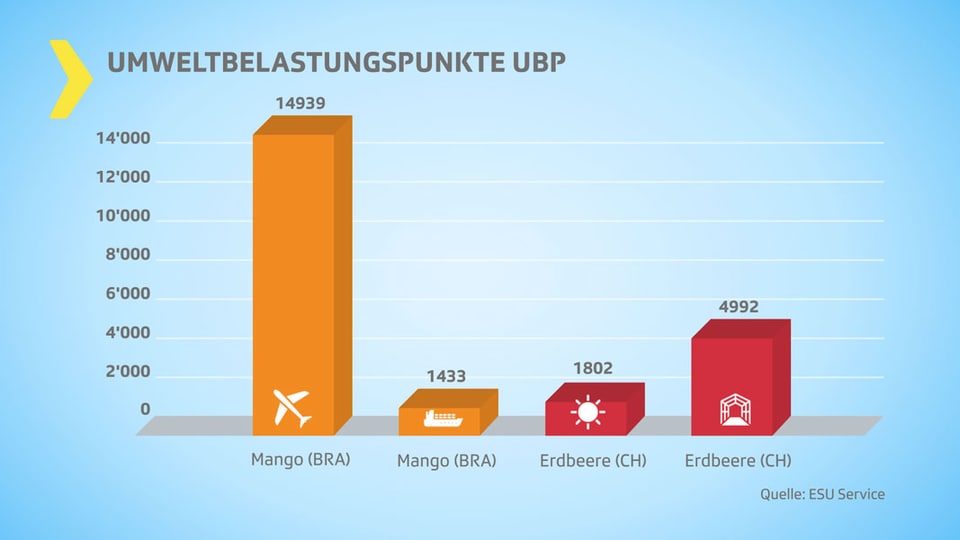 Säulendiagramm Umweltbelastung von Mangos und Erdbeeren.