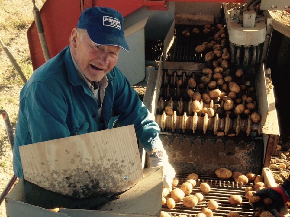 Mann sortiert Kartoffeln