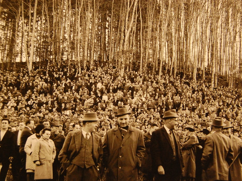 Riesige Menschenmenge in einer Waldlichtung.