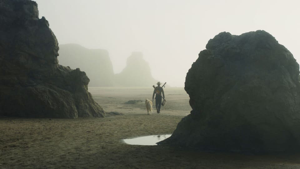 Robert Pattinson geht am Strand mit einem Hund.