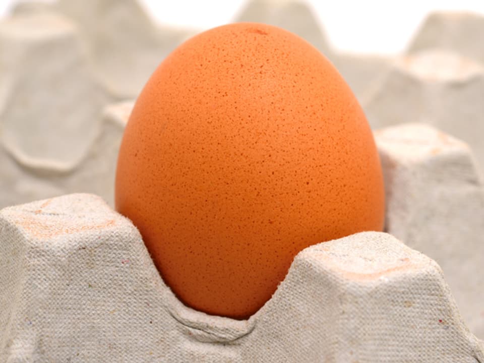 Ein Ei in einem Eierkarton.